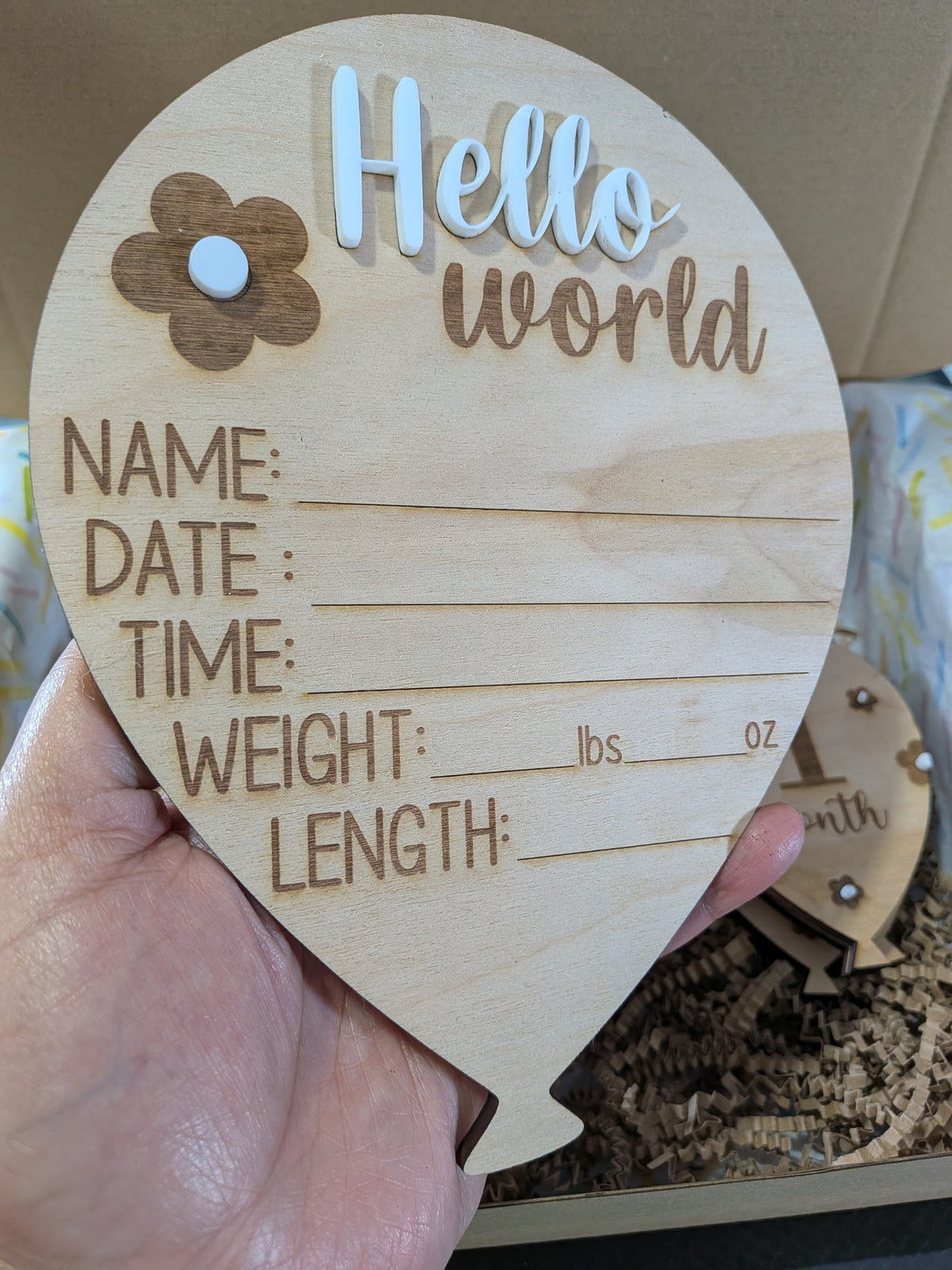 Hello World Wooden Balloon Birth Announcement Sign